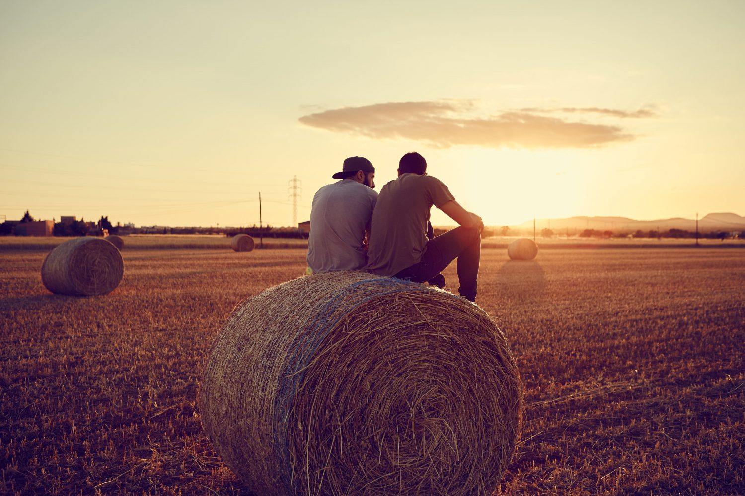 Cem Guenes - BROMANCE - Archive, Friends and Other Strangers