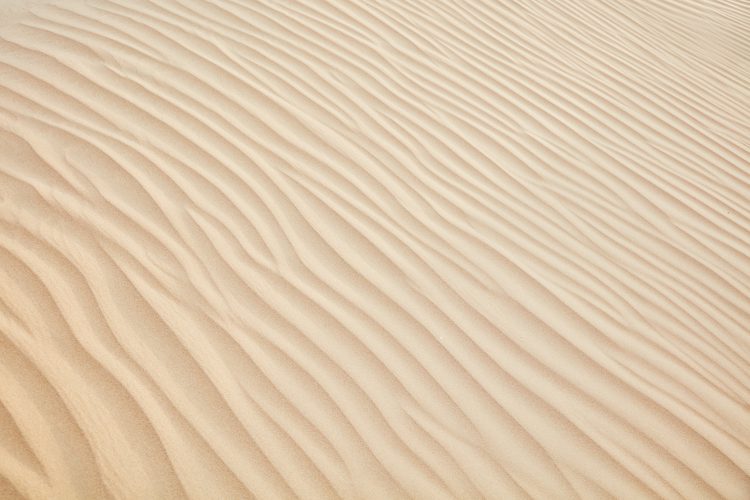 Cem Guenes - DUBAI - Archive