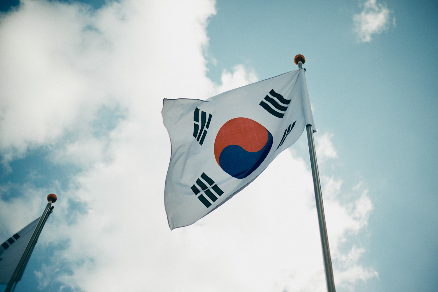 Cem Guenes - KOREA - Archive