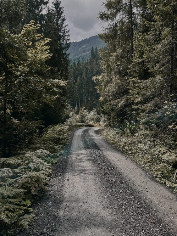 Cem Guenes - CANYON | JULIAN - Archive, NEWS, Something with Bikes