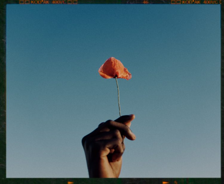 Cem Guenes - THE FLOWER MAN - Archive, Friends and Other Strangers, Motion Picture, NEWS, Portrait Mode