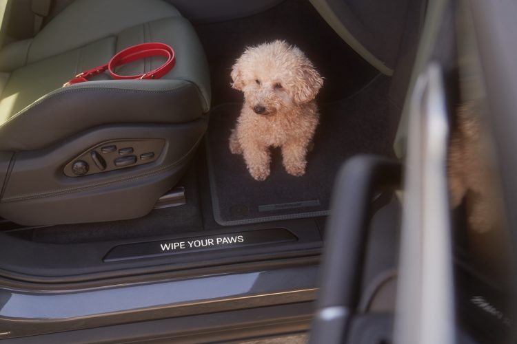 Cem Guenes - PORSCHE CAYENNE EXCLUSIVE MANUFAKTUR - Archive, NEWS, Something with Cars