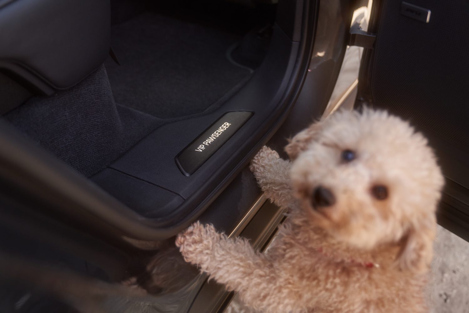 Cem Guenes - PORSCHE CAYENNE EXCLUSIVE MANUFAKTUR - Archive, NEWS, Something with Cars