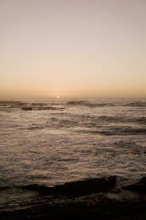 Cem Guenes - ELLI - Archive, Friends and Other Strangers, NEWS, Portrait Mode